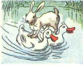 Происшествие на Пруду