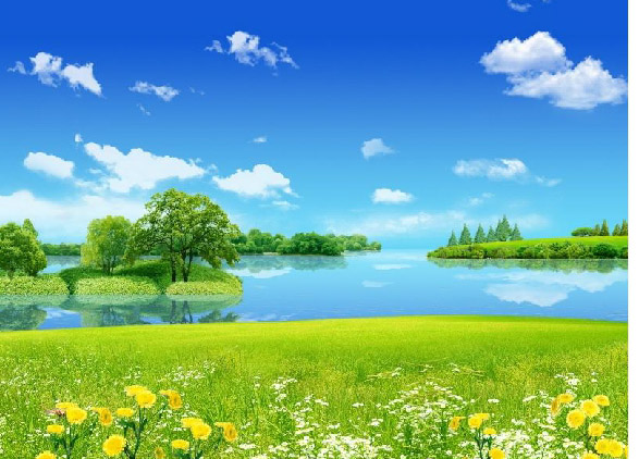 Времена года